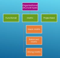 Projectized Organization Chart