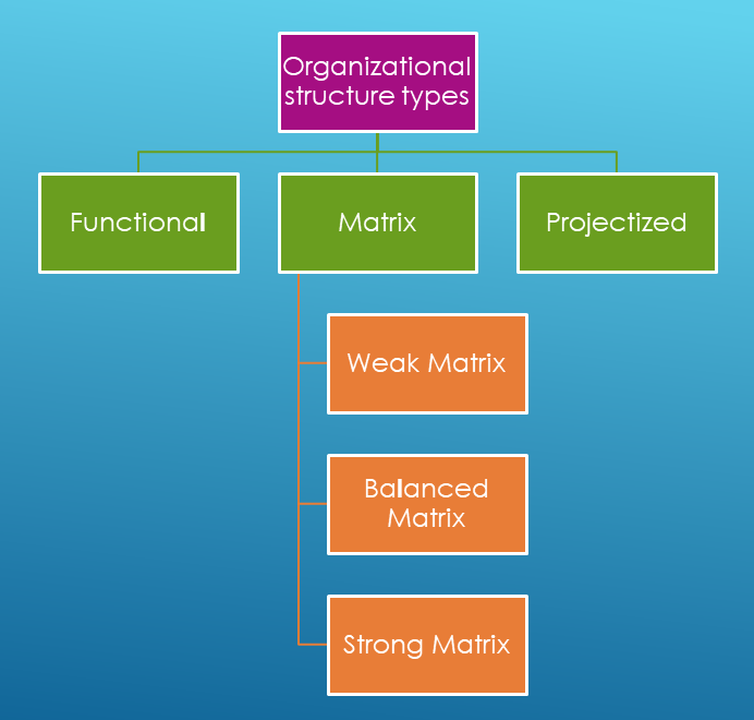 Types Of Organizational Structures Projectcubicle - Vrogue